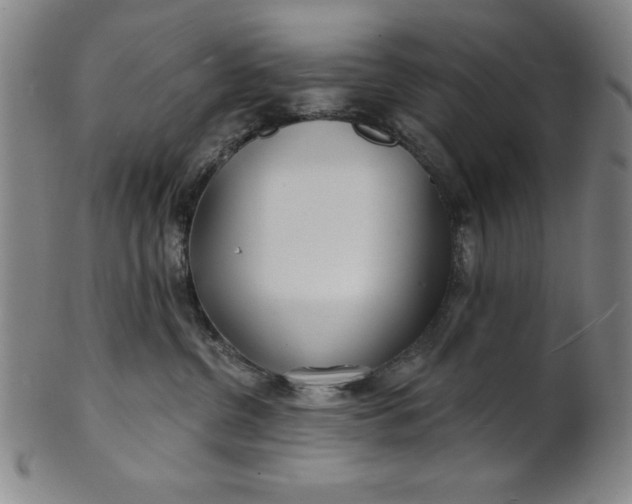 X0000101470380200807211342