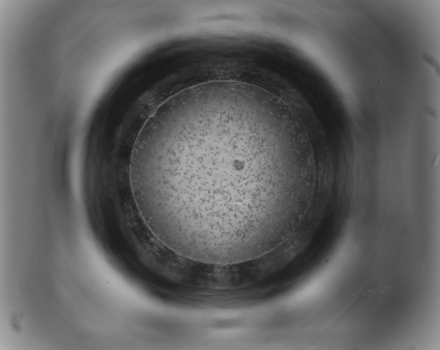 X0000101470383200807211342