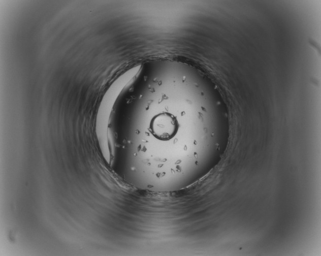 X0000101470384200807211342