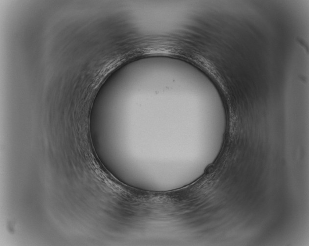 X0000101470385200807211341