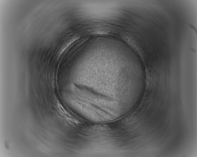 X0000101470386200807211341