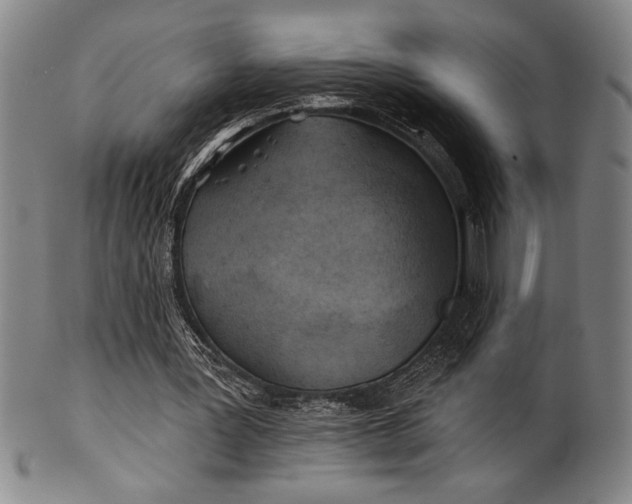 X0000101470387200807211341