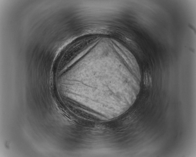 X0000101470388200807211341