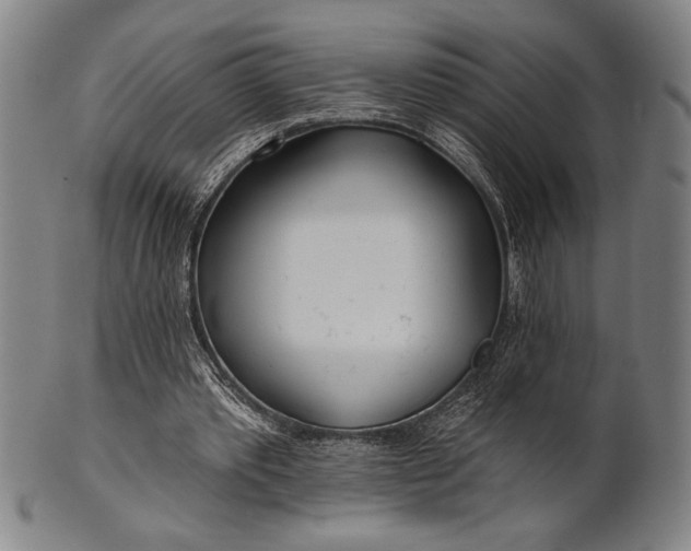 X0000101470389200807211341