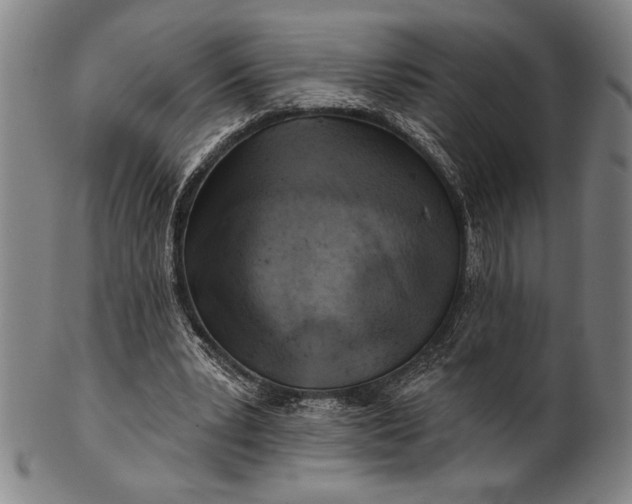 X0000101470391200807211341