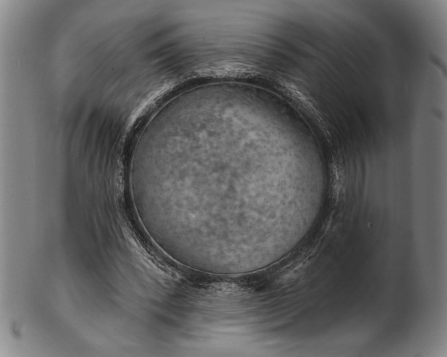 X0000101470392200807211341