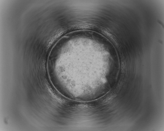 X0000101470394200807211341