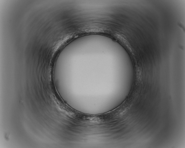 X0000101470395200807211341