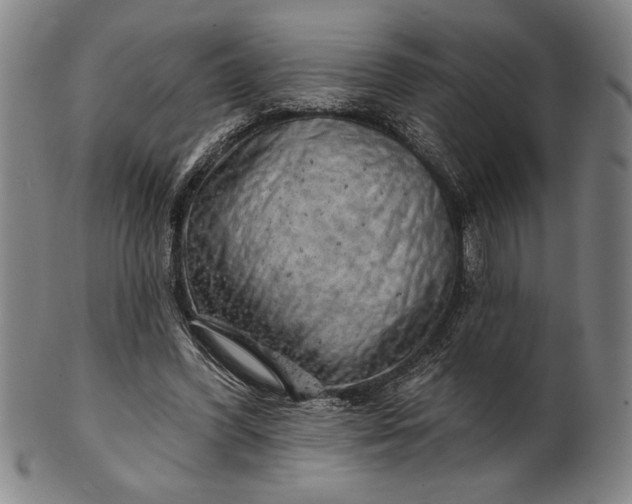 X0000101470396200807211341