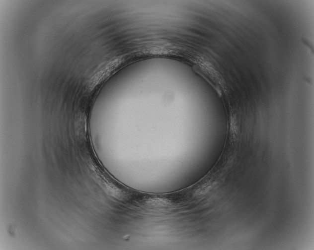 X0000101470397200807211341