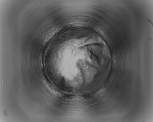 X0000101470398200807211341