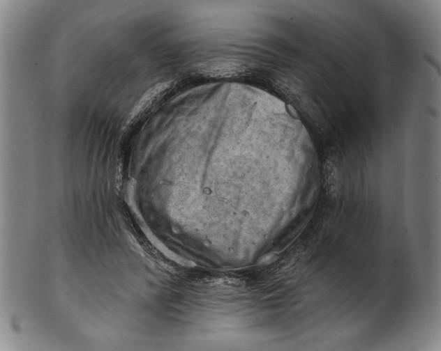 X0000101470400200807211341