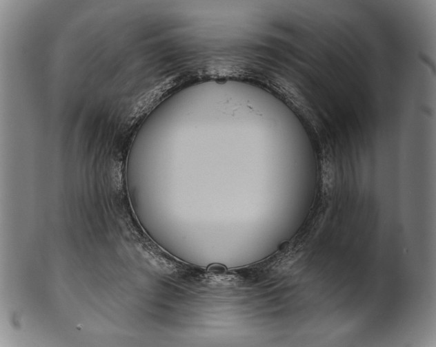 X0000101470401200807211341