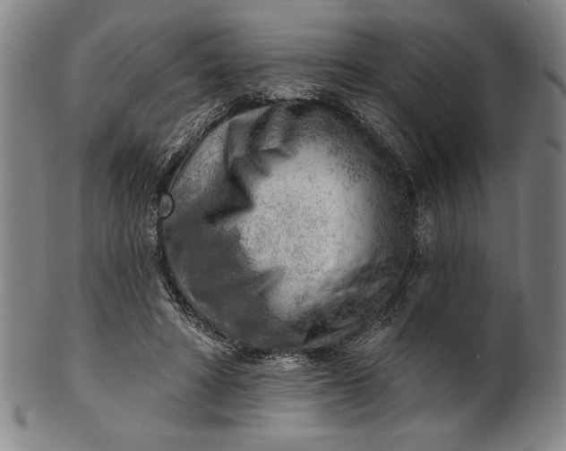 X0000101470402200807211341