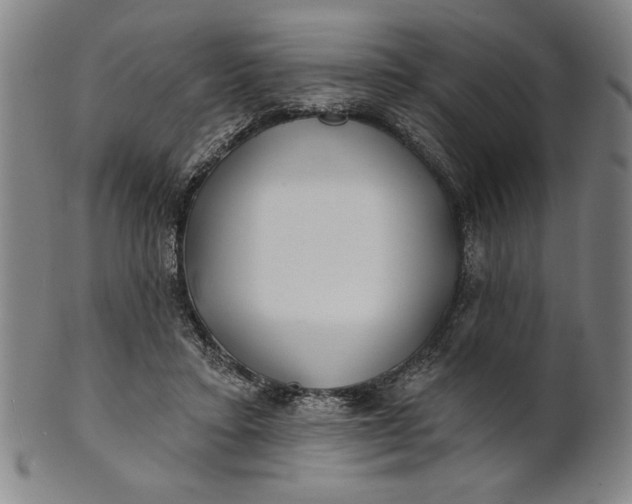 X0000101470403200807211341