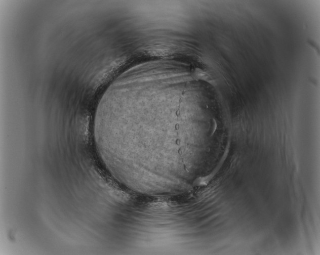 X0000101470404200807211341