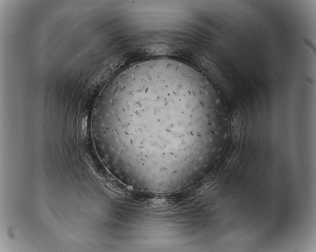 X0000101470406200807211341