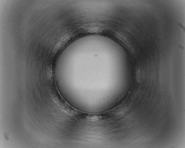 X0000101470407200807211341