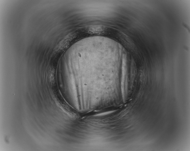 X0000101470408200807211341