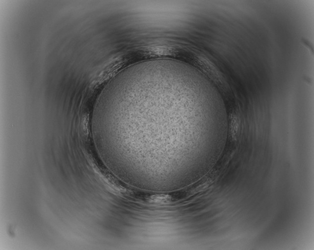 X0000101470410200807211341