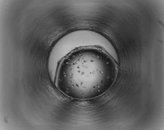 X0000101470411200807211341