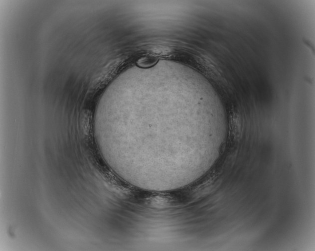 X0000101470412200807211341