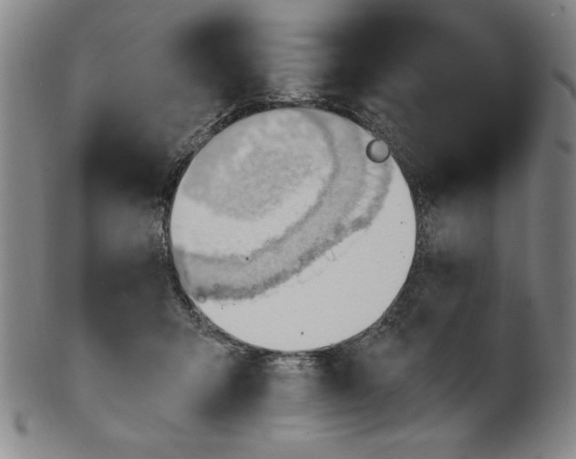 X0000101470415200807211341