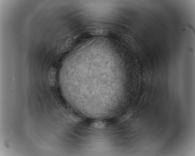 X0000101470416200807211341