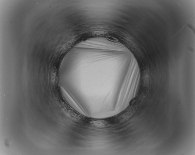 X0000101470417200807211341