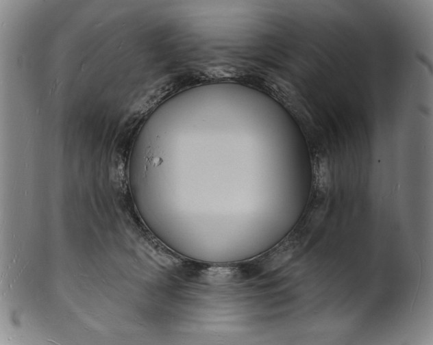 X0000101470418200807211341