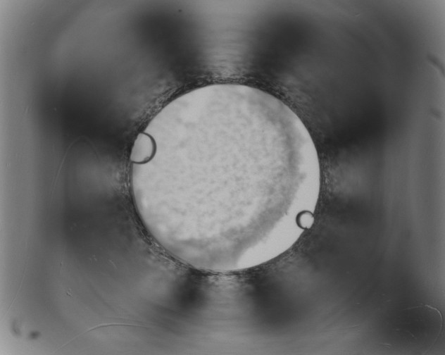 X0000101470419200807211341