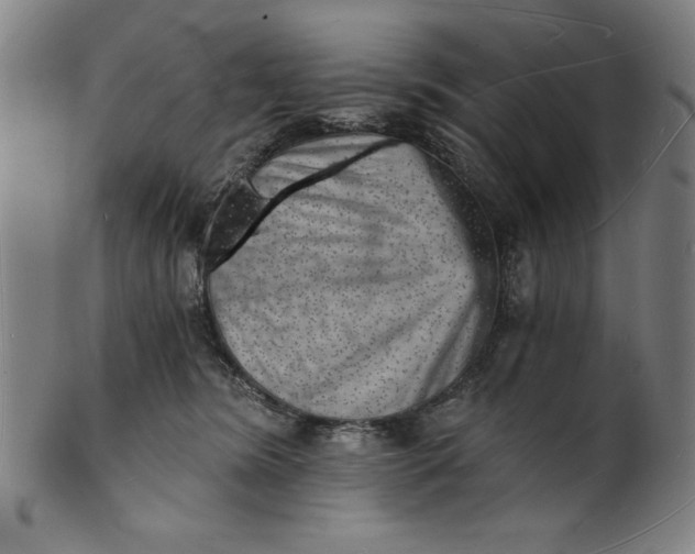 X0000101470420200807211341