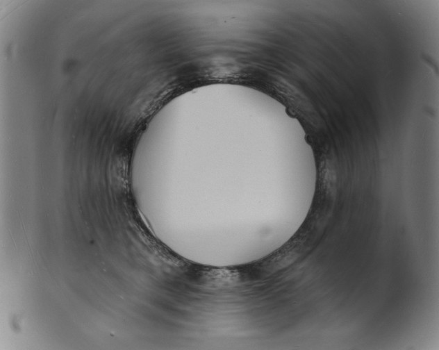 X0000101470421200807211341