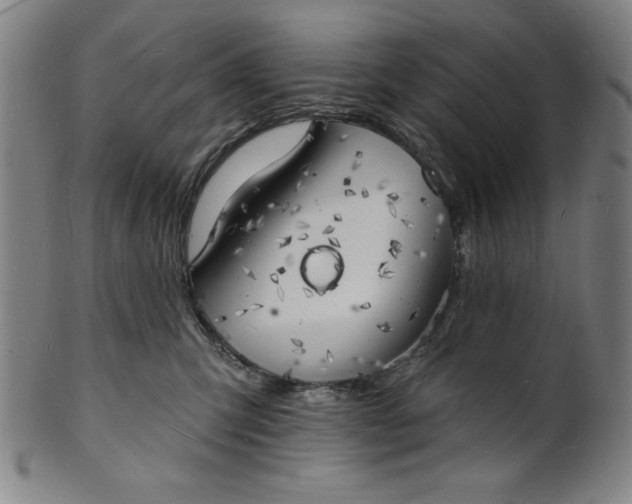 X0000101470423200807211341