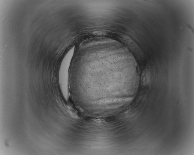 X0000101470424200807211341