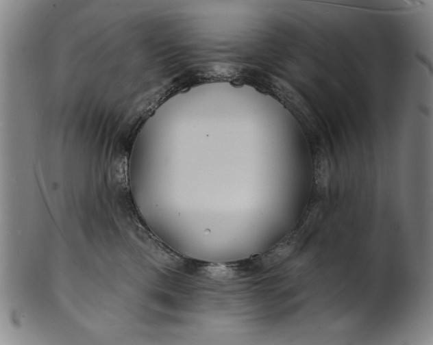 X0000101470425200807211341