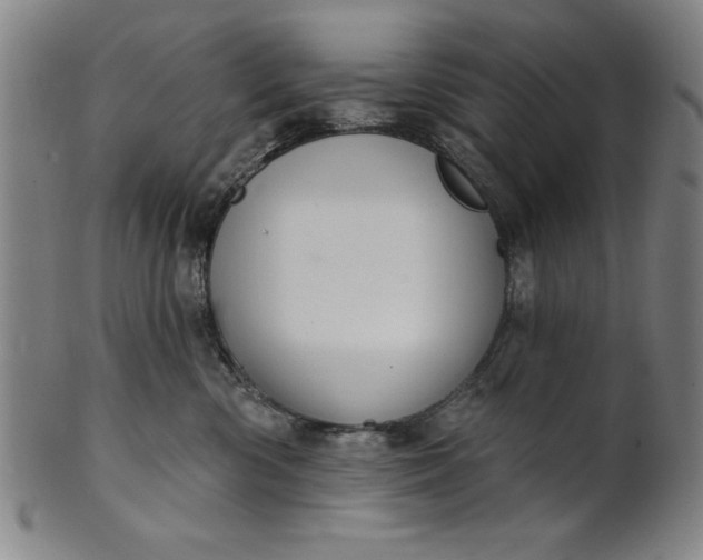 X0000101470426200807211341