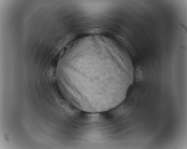 X0000101470428200807211340