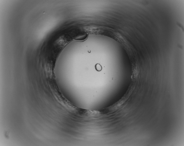 X0000101470429200807211340