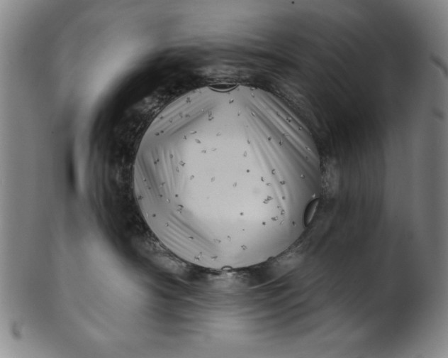 X0000101470430200807211340