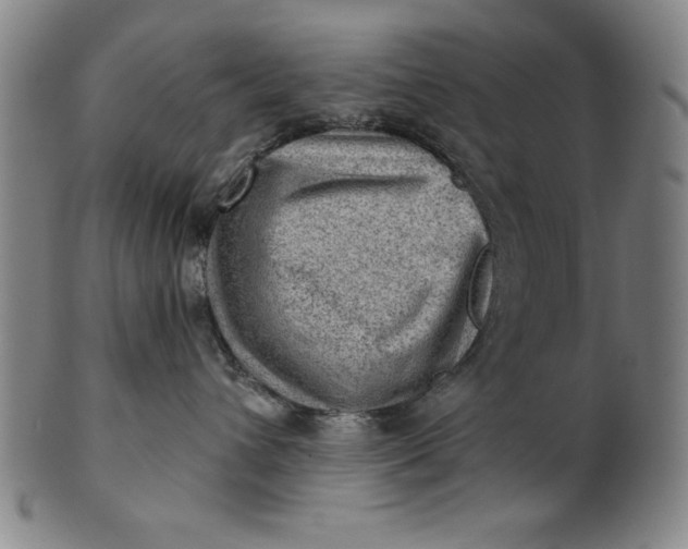 X0000101470432200807211340