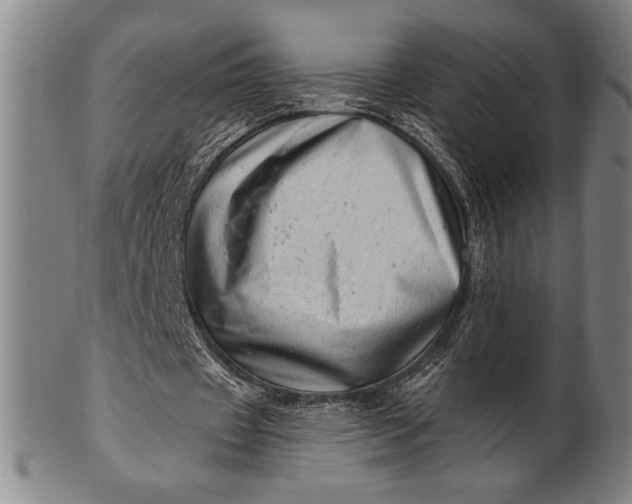 X0000101470433200807211340