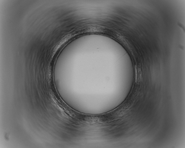 X0000101470435200807211340