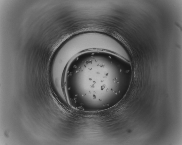 X0000101470436200807211340