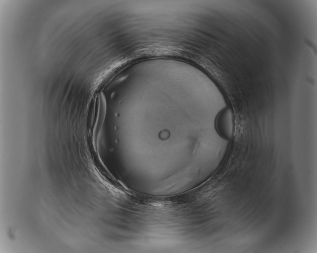 X0000101470438200807211340