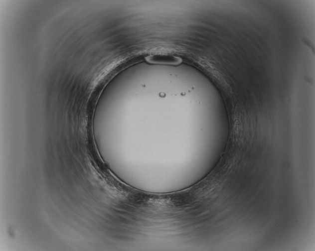 X0000101470440200807211340