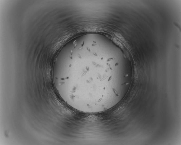 X0000101470441200807211340