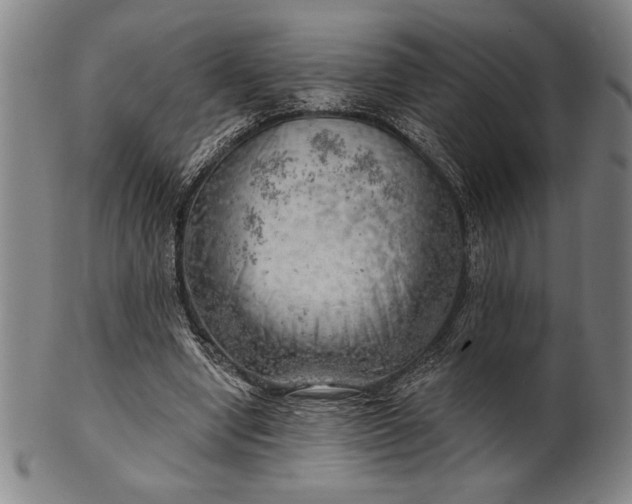 X0000101470442200807211340