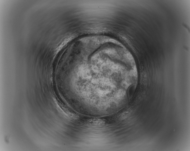 X0000101470443200807211340