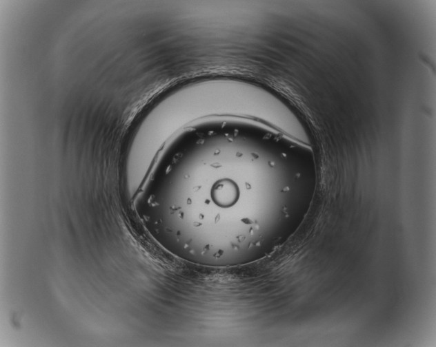 X0000101470444200807211340